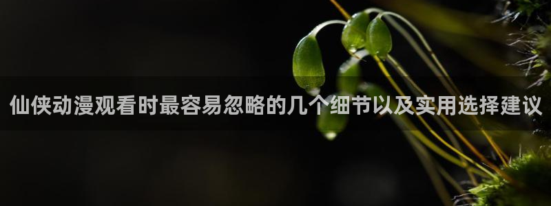 香蕉成熟时2在线看：仙侠动漫观看时最容易忽略的几个细节以及实用选择建议配图