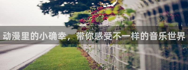 记得香蕉成熟时2：动漫里的小确幸，带你感受不一样的音乐世界配图