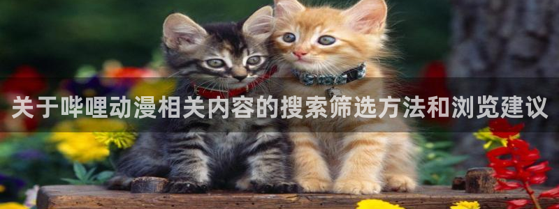 香蕉成熟时1997:关于哔哩动漫相关内容的搜索筛选方法和浏览建议配图
