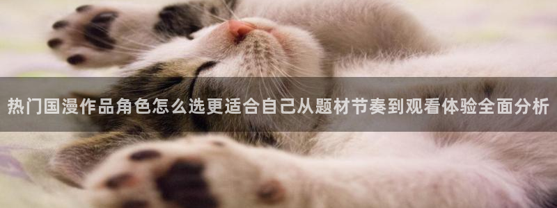 香蕉成熟时在线观看：热门国漫作品角色怎么选更适合自己从题材节奏到观看体验全面分析配图