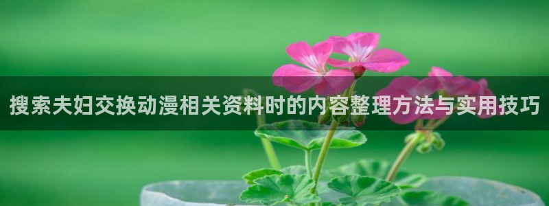 香蕉成熟时红海湾小帅:搜索夫妇交换动漫相关资料时的内容整理方法与实用技巧配图